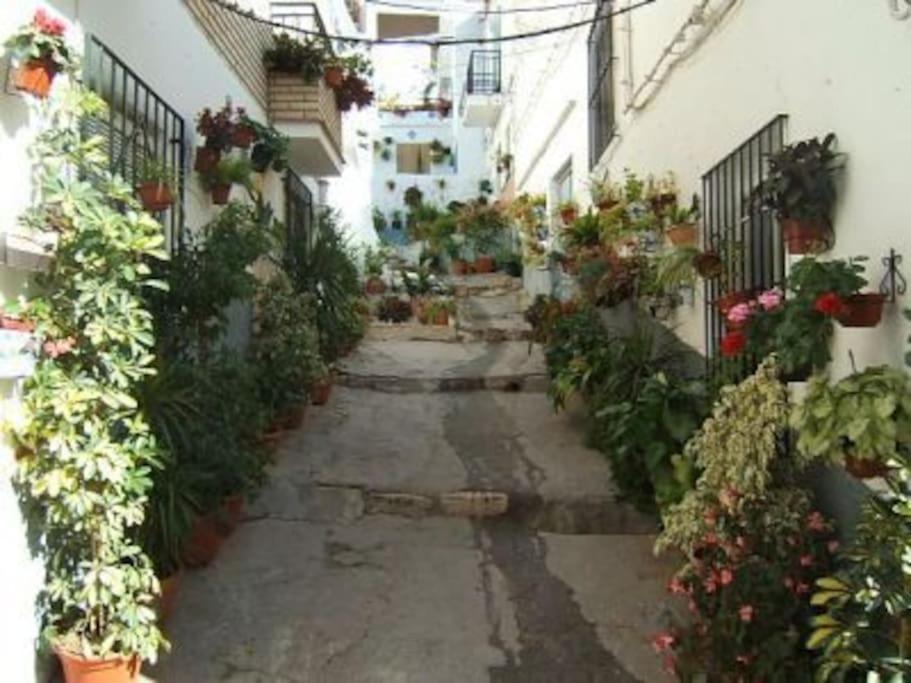 Boutique Style Apartment In Velez De Benaudalla - Near Salobrena Vélez de Benaudalla Exterior foto